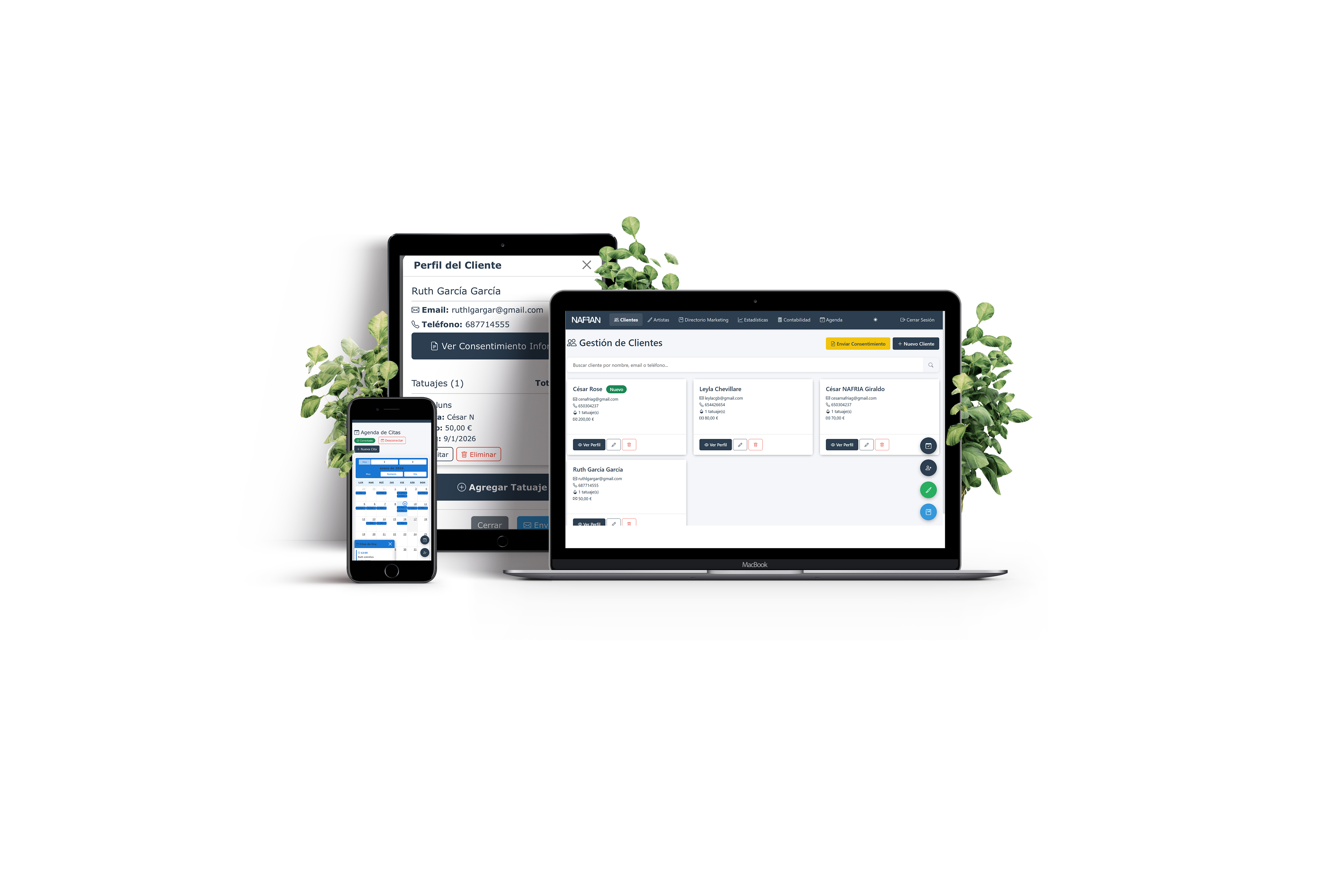 NAFFAN - Plataforma en múltiples dispositivos